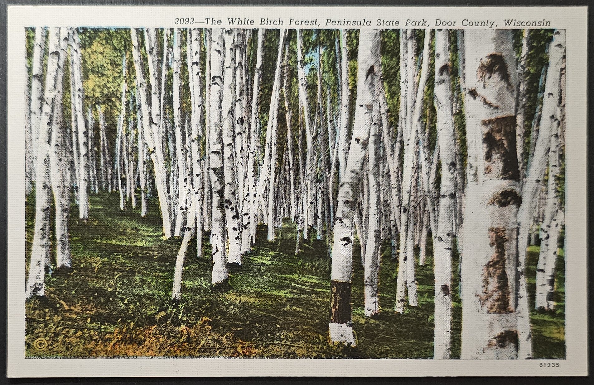 postcard USA - WI - Wisconsin #0016 (image for) postcard USA - WI - Wisconsin #0016